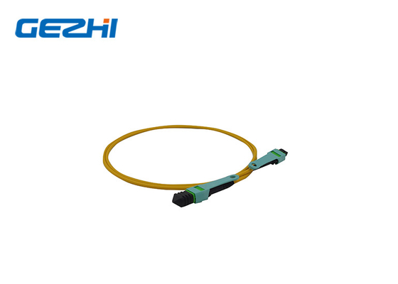 LC OM3/OM4 8/12/24f MPO/MTP 光ファイバーパッチコード MPO でネットワークをアップグレード