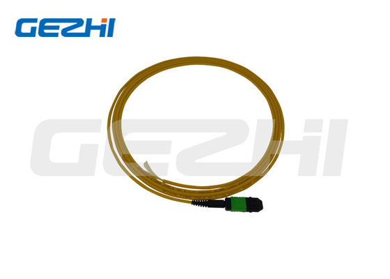 SM 9/125 Mpo Lc 光ファイバー パーツテイルパッチコード パーソナライズされた長さ OEM
